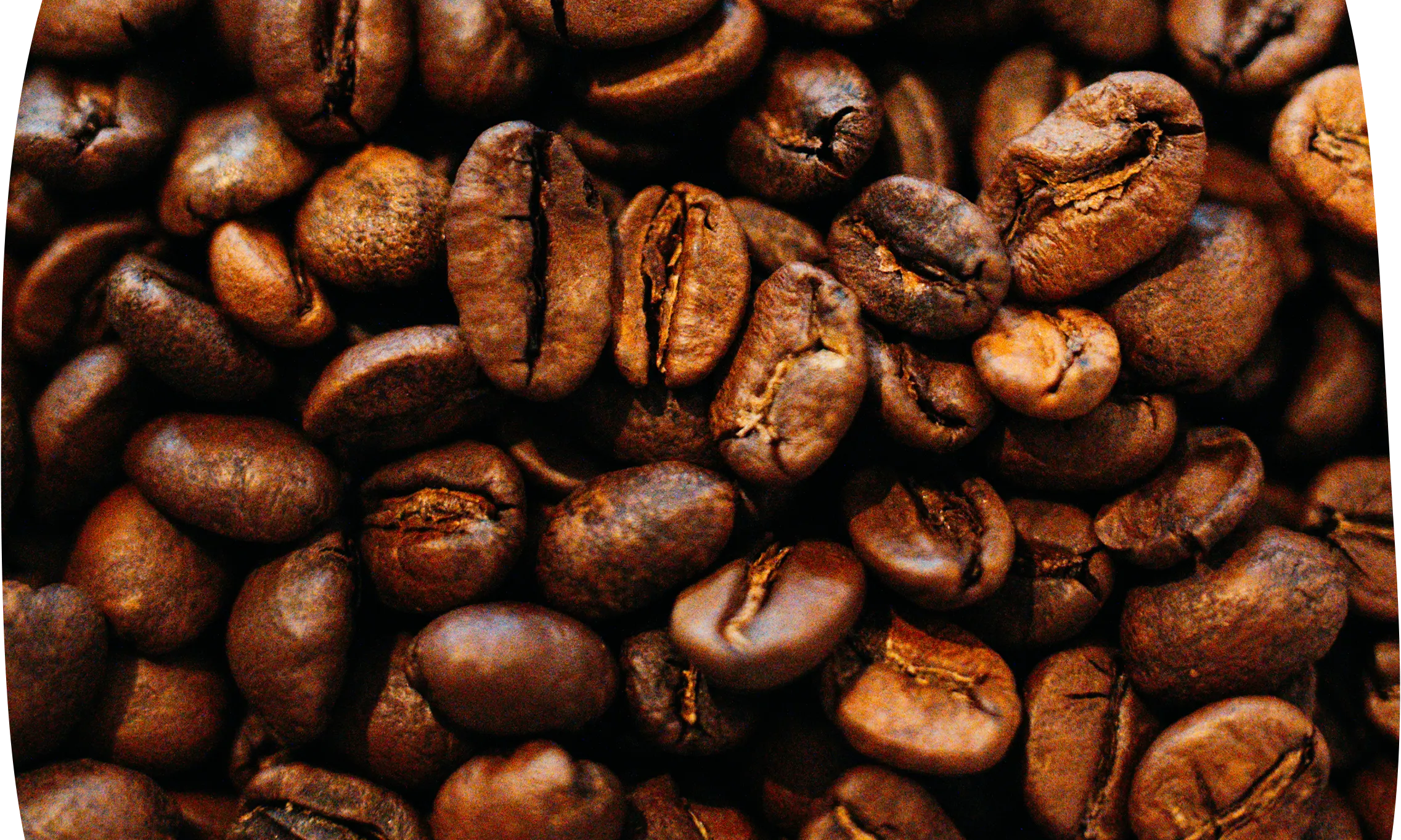 Close Up von Kaffeebohnen