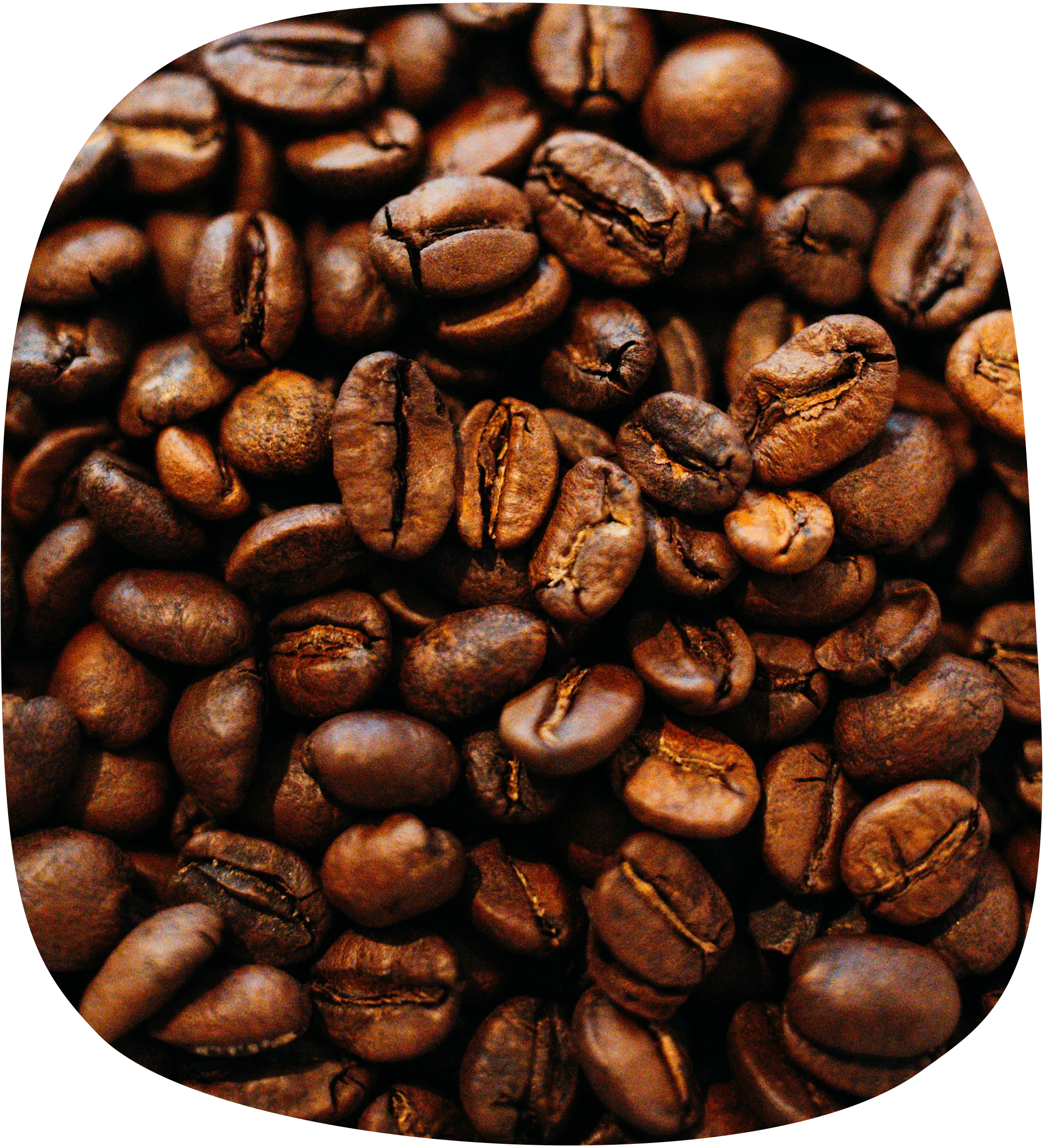 Close Up von Kaffeebohnen