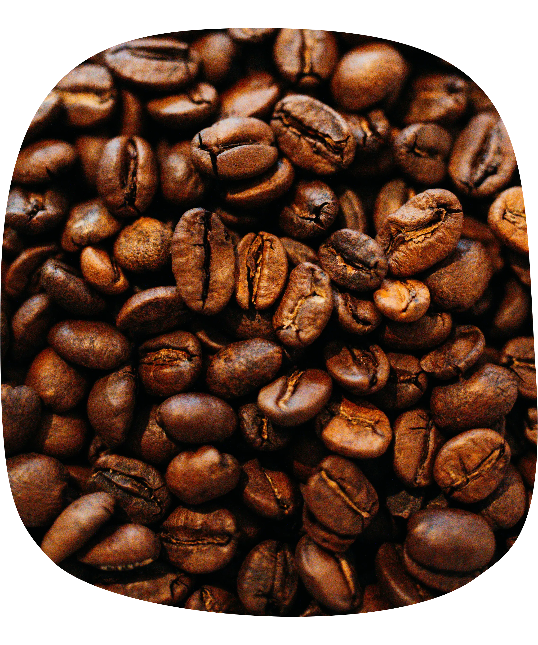 Close Up von Kaffeebohnen